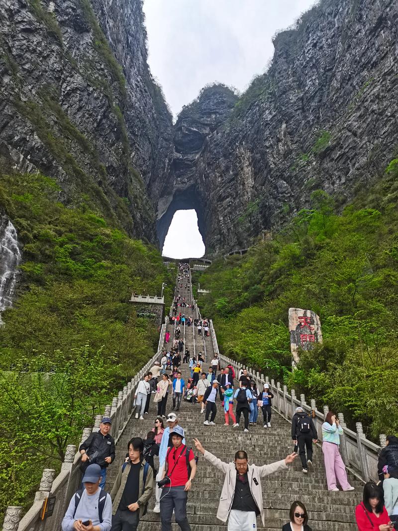 体验张家界纯玩团:自然与心灵的完美之旅