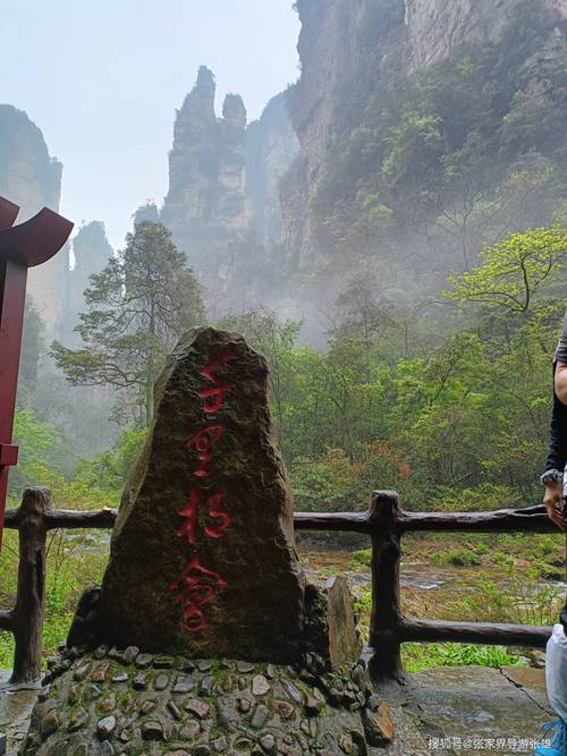 探索神秘张家界:与旅行社共赴自然之约