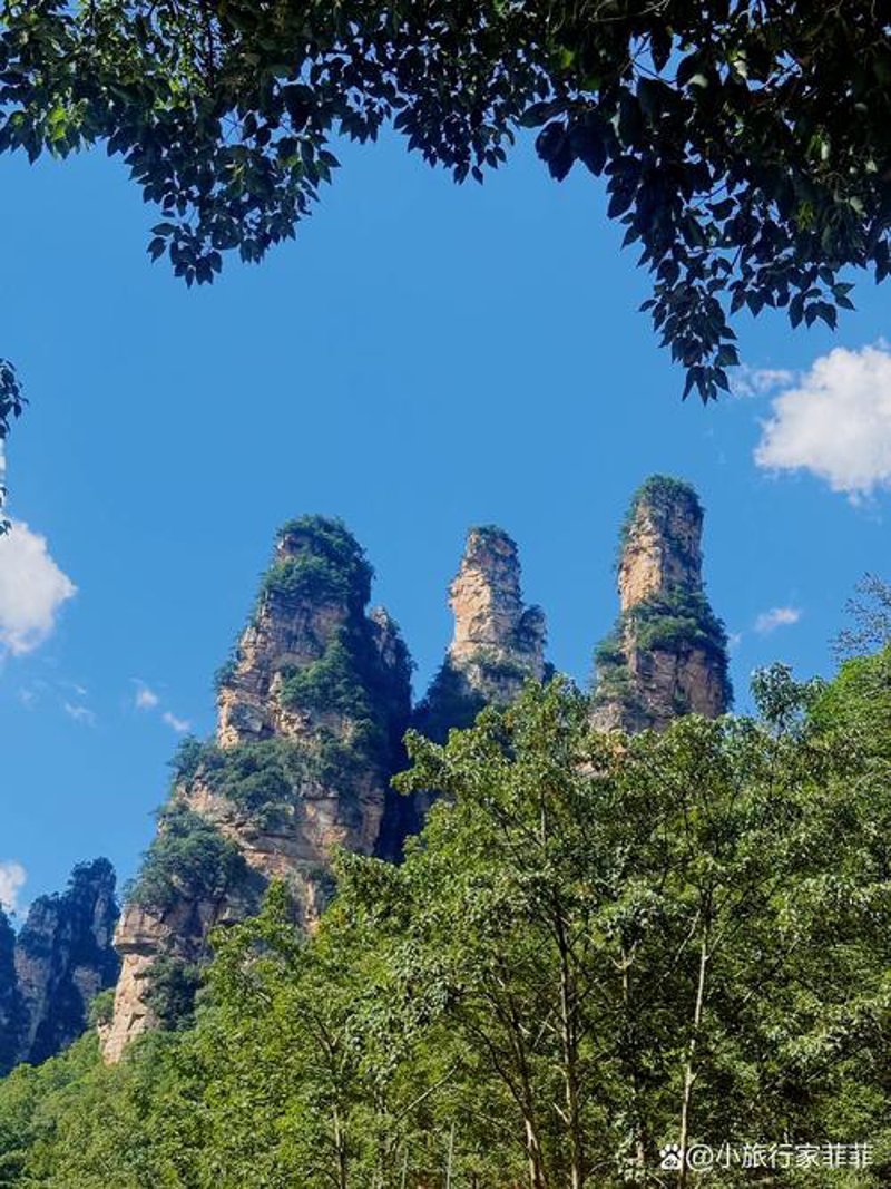 把握张家界旅游趋势,与旅行社共创美好旅行时光